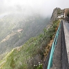 Plants: image 46 Of 46 Thumb